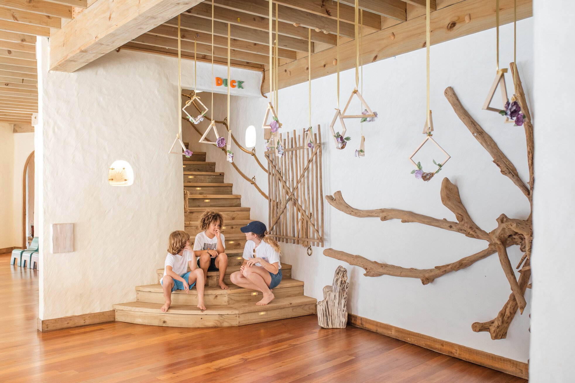 Professional mentors